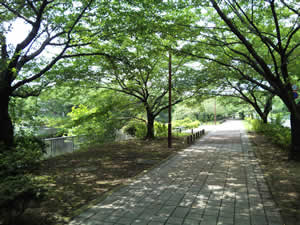 e0112879_432782.jpg