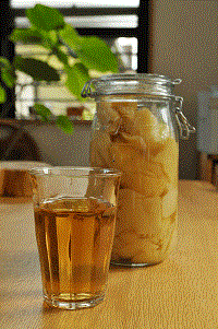 b0094280_1135476.gif