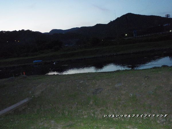 f0199881_10361030.jpg