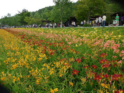 c0171889_21272118.jpg