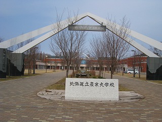 b0191190_16571011.jpg