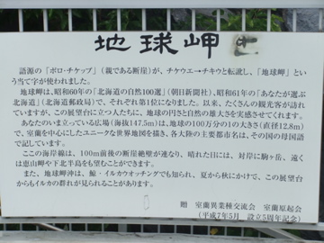 室蘭 味の大王 カレーラーメン ツー!!_c0226202_653330.jpg