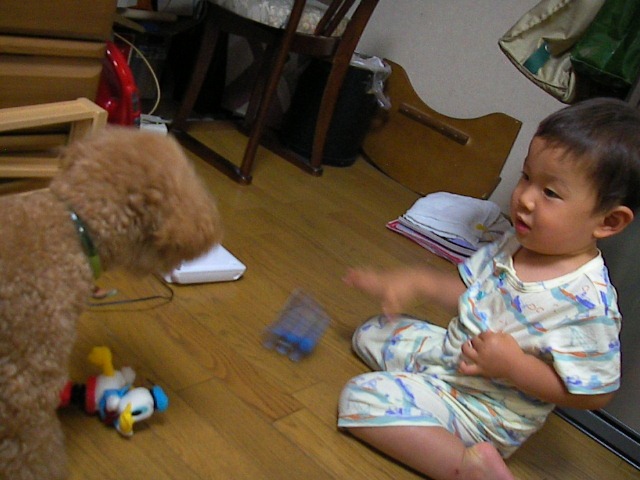 f0038407_23531461.jpg