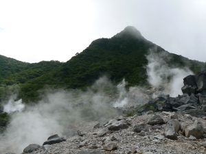 f0006509_22453329.jpg