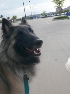 f0227709_147280.jpg