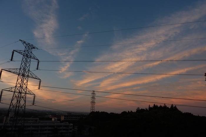 梅雨が明けました_b0107713_13385184.jpg