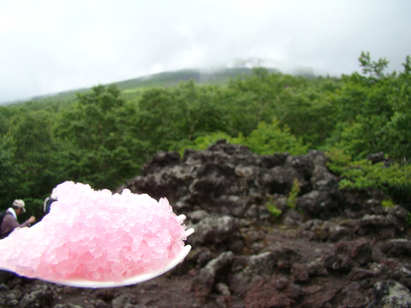 岩手山と山の女王_a0127015_617084.jpg