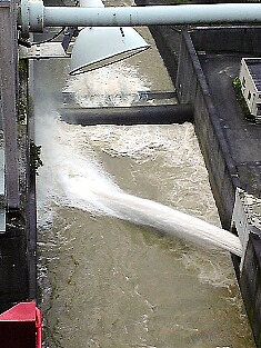 e0114015_159445.jpg