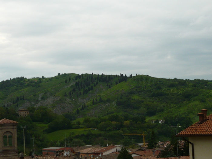 c0159117_2330721.jpg