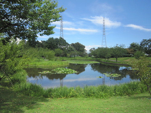 ♪今年の夏は★地元でのんびり！ゆっくり！_d0162225_20214122.jpg