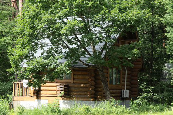 e0071225_1535814.jpg