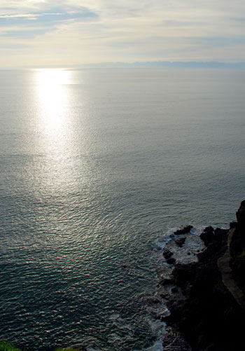 f0098628_9175952.jpg