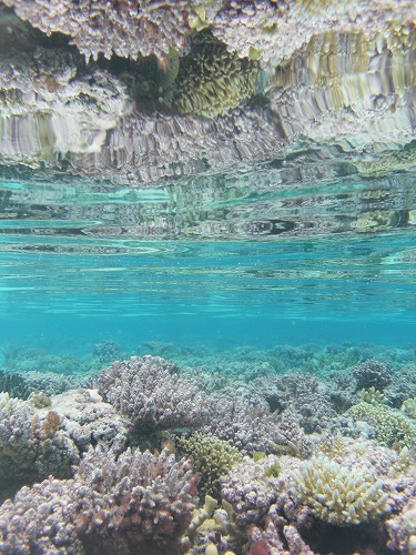 c0222732_125443.jpg