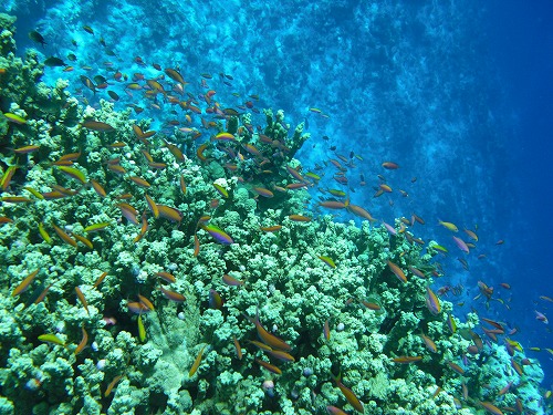 c0222732_125822.jpg