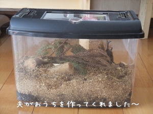 夏色パッチの爽やかグラニー♪中くらい ^^_f0023333_21271427.jpg
