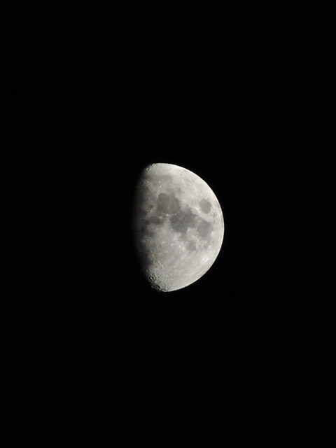d0172537_22314215.jpg