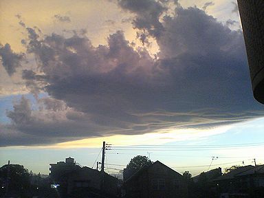 a0096557_21562533.jpg