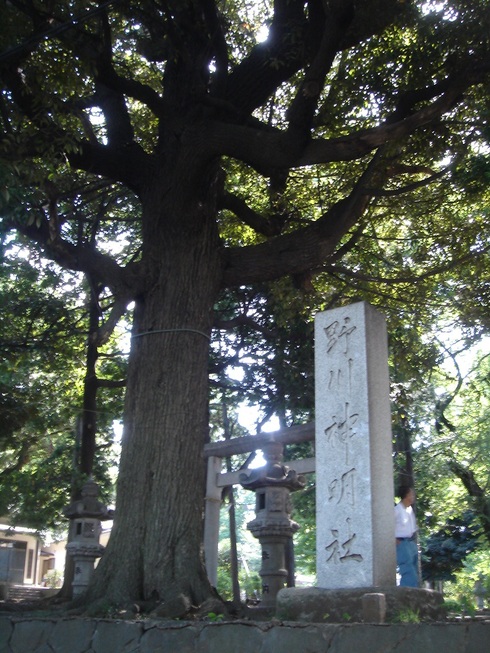 Sunday Ride ☆ 野川神社〜夢見ケ崎動物園〜池上本門寺_e0165361_2204476.jpg