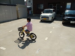 f0201565_22283.jpg