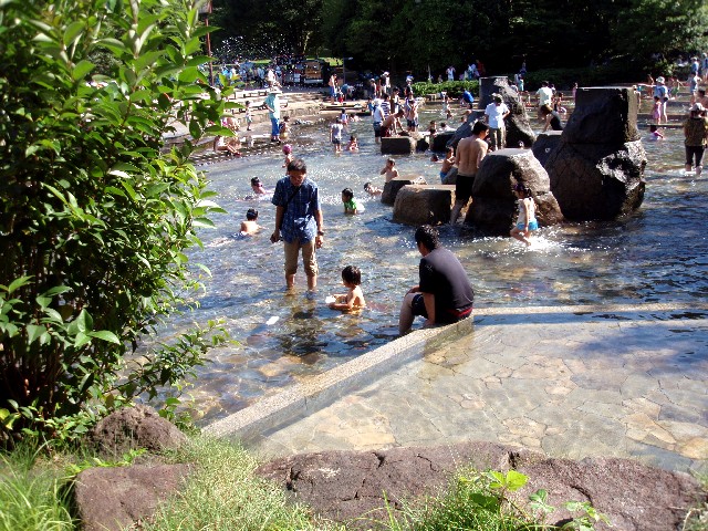 d0162276_11998.jpg
