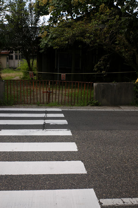 君の行く道は_e0082981_005986.jpg