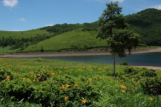 c0212083_23211780.jpg