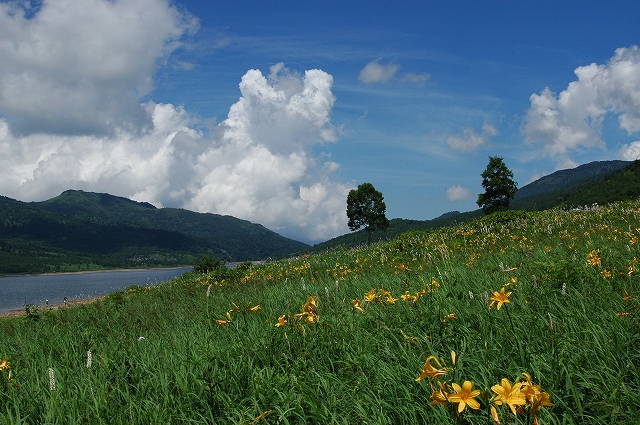 c0212083_2322037.jpg