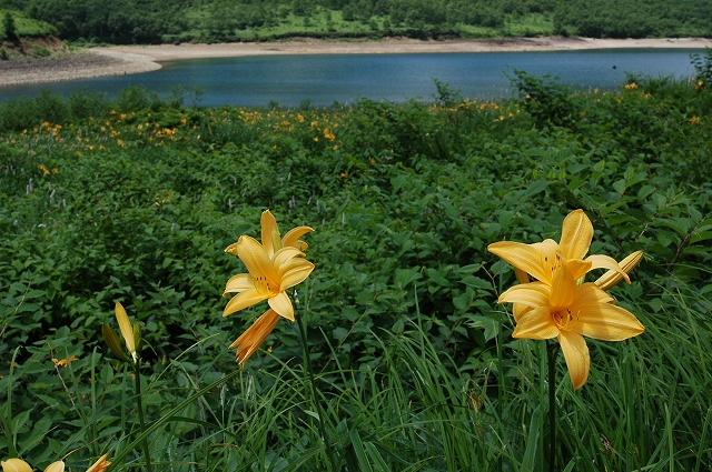 c0212083_23221976.jpg