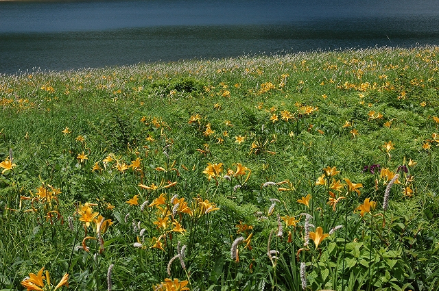 c0212083_23223752.jpg