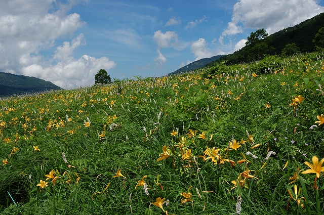 c0212083_2323717.jpg