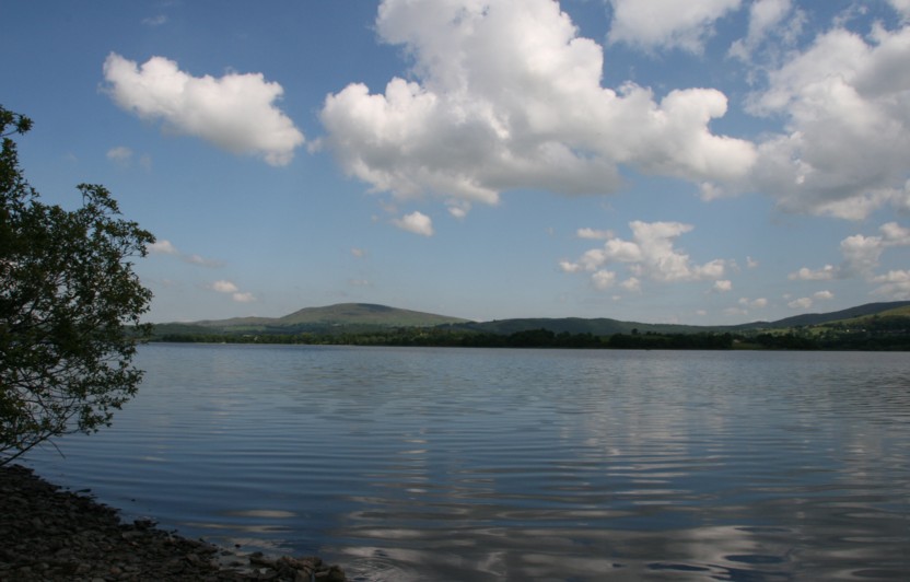 c0144185_9355593.jpg