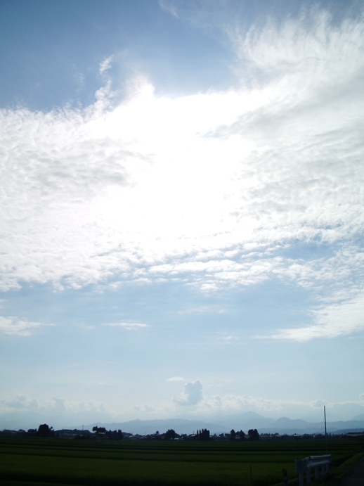 夏空_a0137789_11112211.jpg