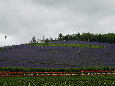 c0171889_17372028.jpg