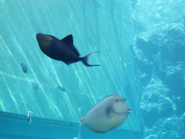 f0143299_0513671.jpg