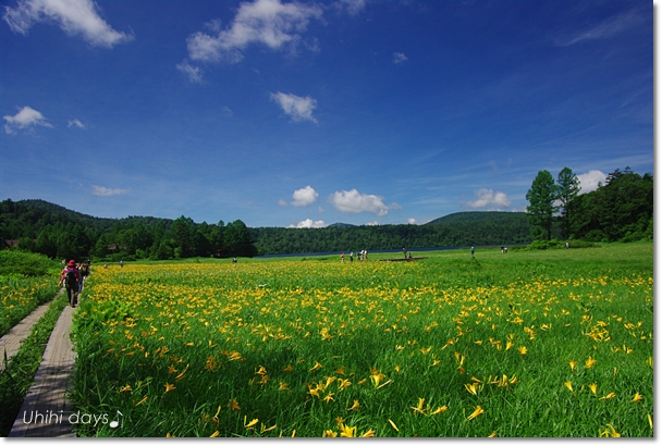 夏の尾瀬へ うひひなまいにち