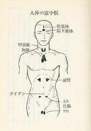 主の祈りと内分泌腺、アファメーション_c0125114_14463062.jpg