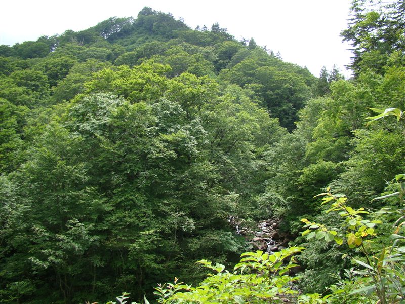 a0127015_2120513.jpg