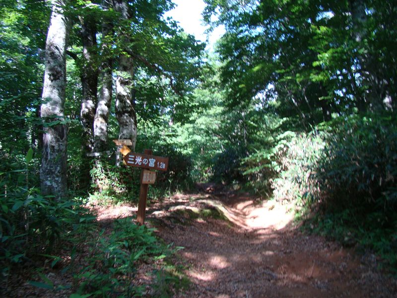 a0127015_219716.jpg