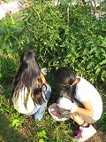 b0026615_855915.jpg