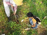 b0026615_858242.jpg