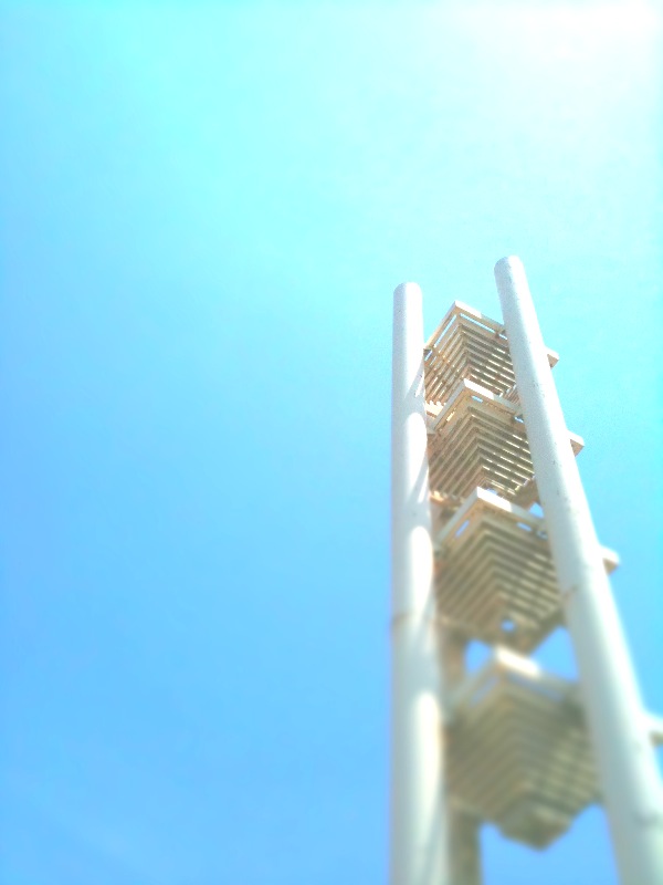 はな_c0222817_22151521.jpg