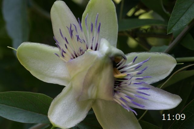 e0117318_2329218.jpg