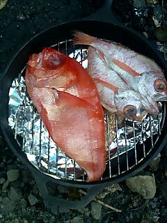e0091220_19324781.jpg