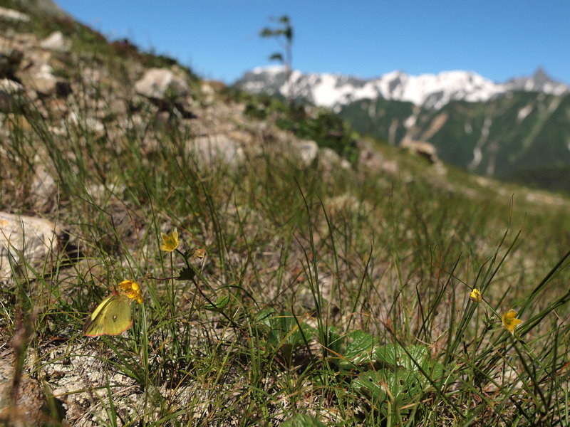 d0090322_25381.jpg