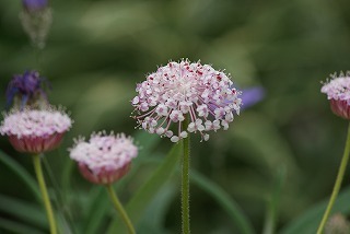 f0170524_155141100.jpg