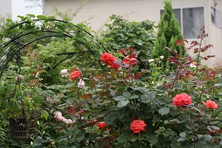 f0170524_15551152.jpg