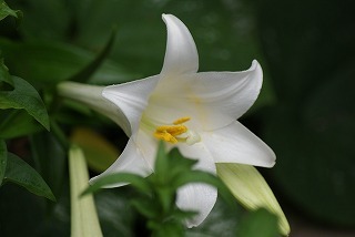 f0170524_15555886.jpg