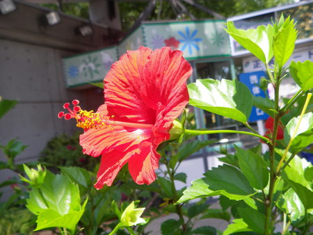 b0121425_22471978.jpg