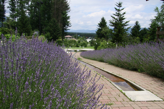 e0071225_1740936.jpg
