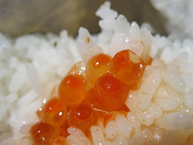 佐藤水産本店のおにぎり_a0016730_23175025.jpg